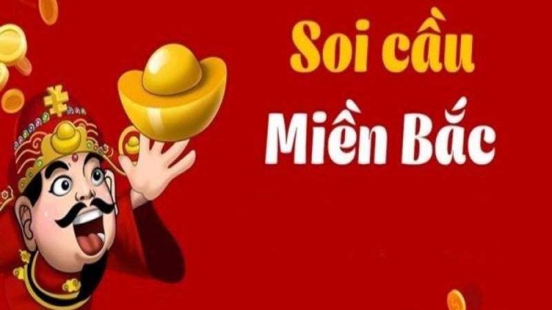 soi cau mien bac