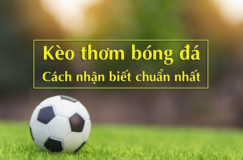 Cách nhận diện kèo thơm trong cá cược bóng đá tại 8Day