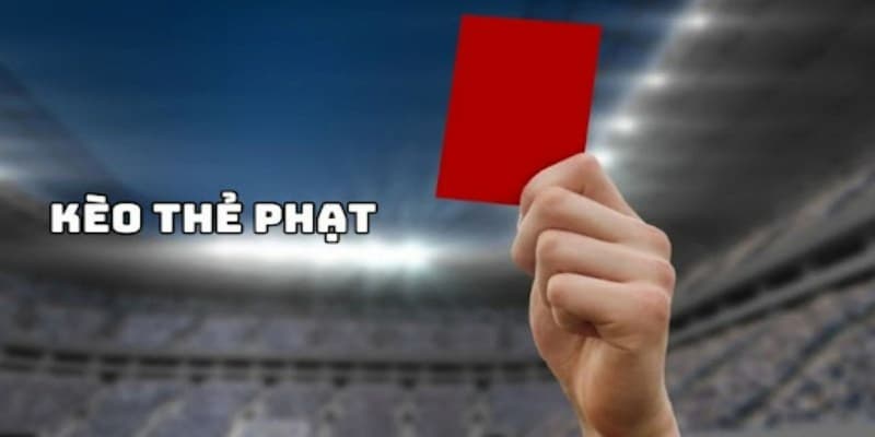 Cao thủ mách bí kíp cách đọc vị kèo thẻ phạt từ nhà cái