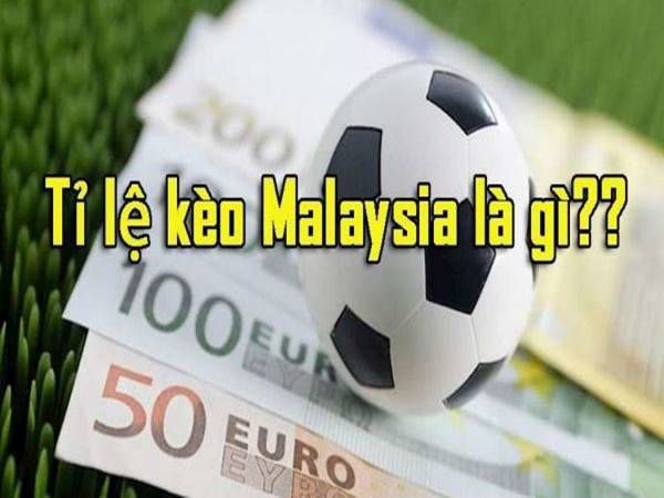 Làm quen cách đọc, cách tính toán tỷ lệ kèo Malaysia